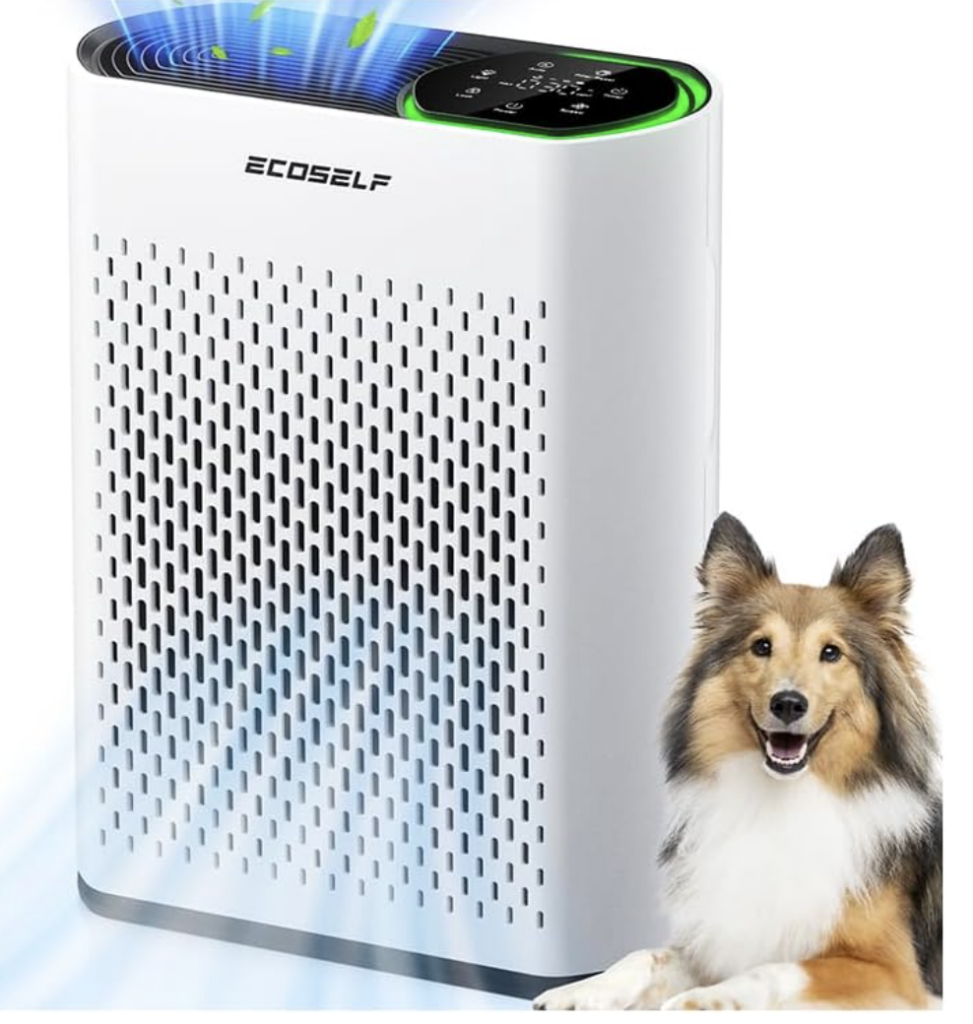 Air Purifier