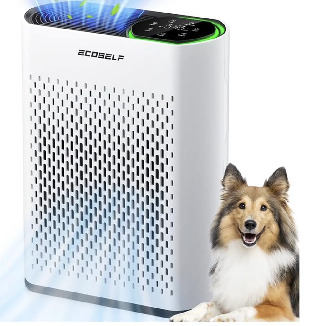 Air Purifier